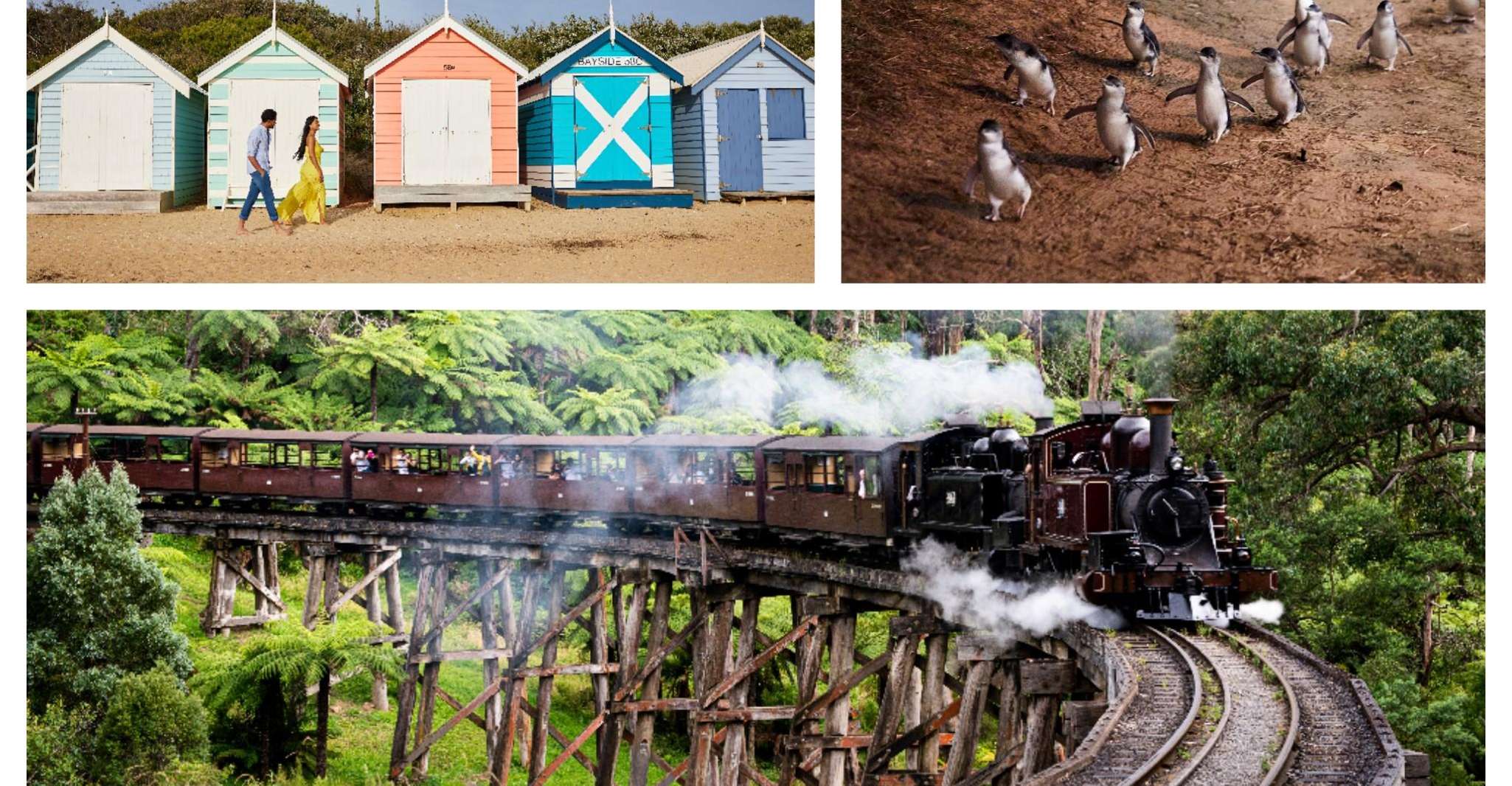 Melbourne: Puffing Billy Penguin Parade Brighton Boxes Tour