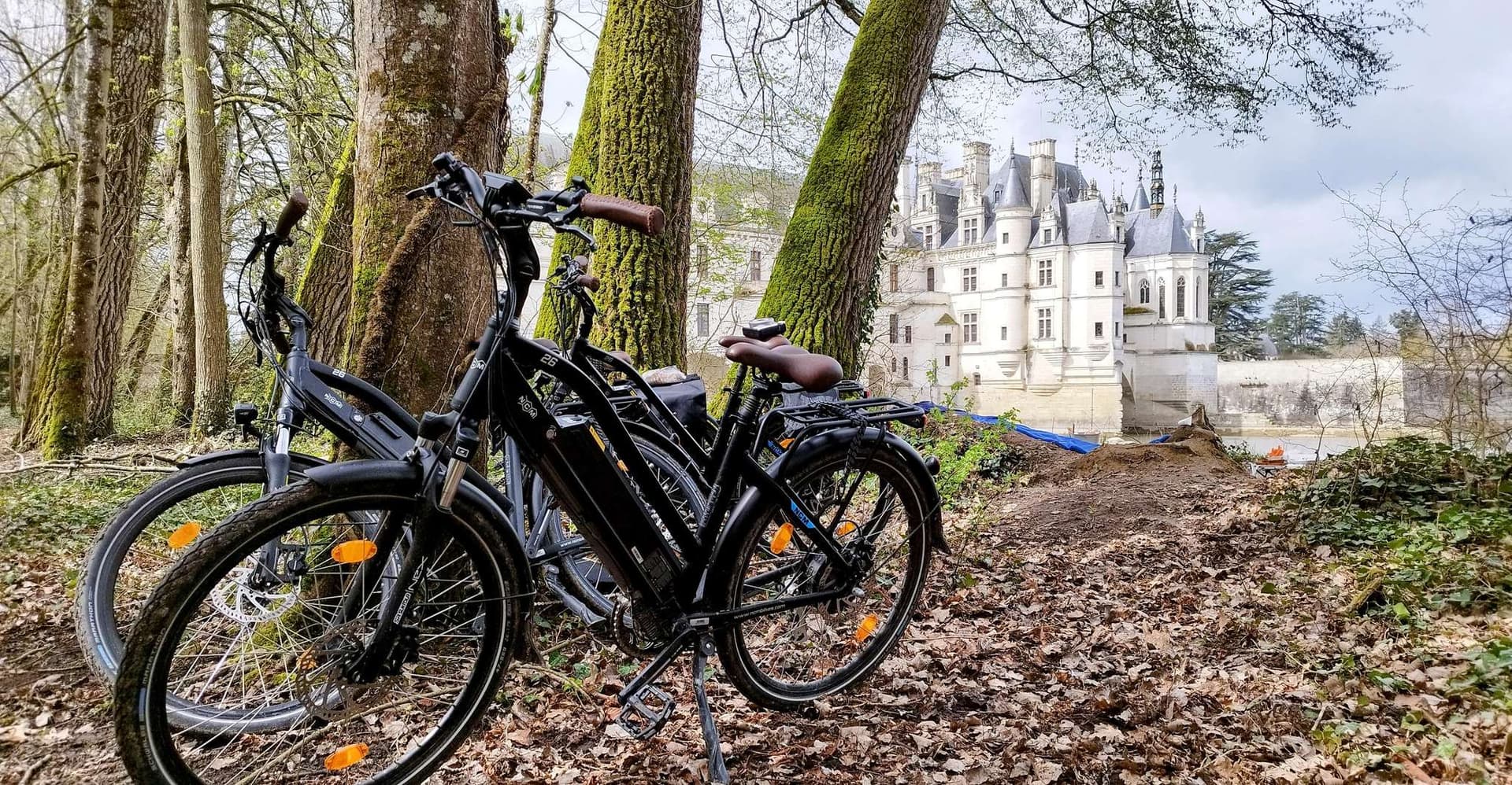 Chenonceau: E-Bike Guided Tour & Gourmet Picnic Lunch photo 6