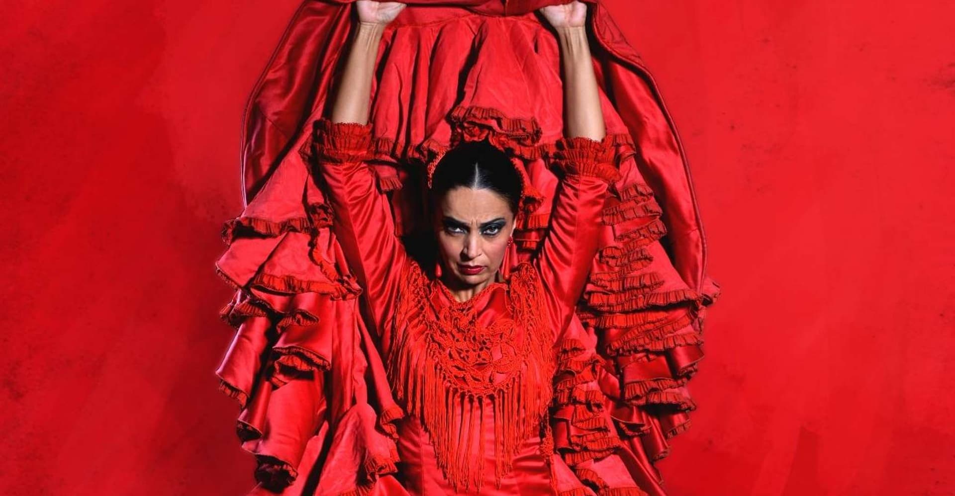 Madrid: "Emociones" Live Flamenco Performance photo 1