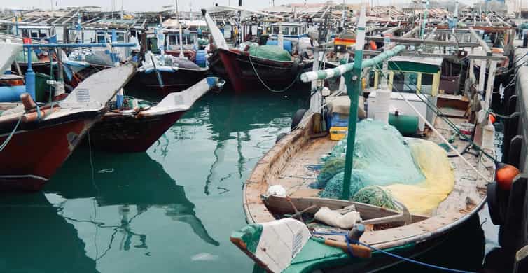 Doha: North Qatar Guide Expedition with Pickup & Drop-Off