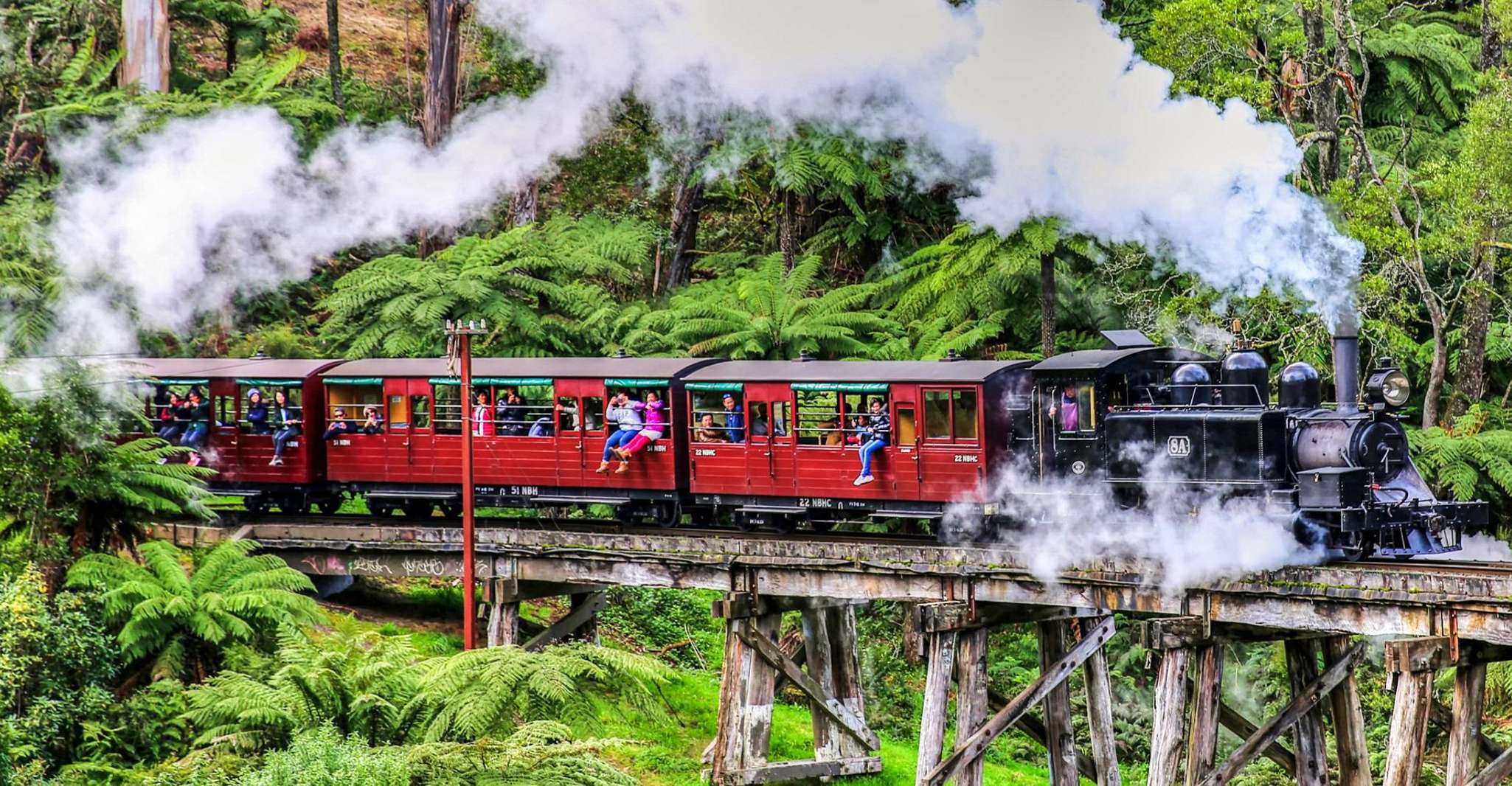 Melbourne: Puffing Billy & Healesville Sanctuary Scenic Tour