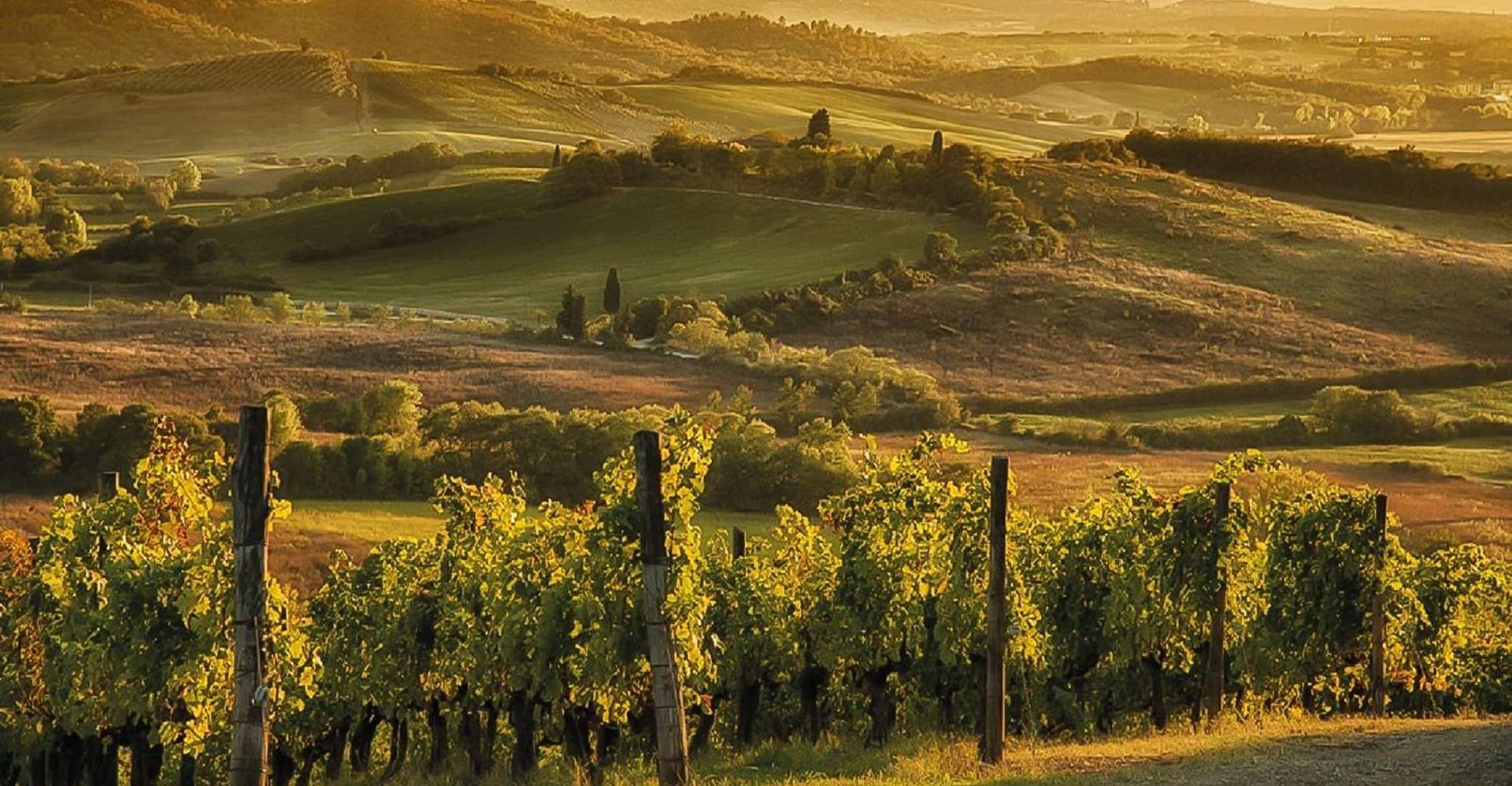 Florence: Chianti Vineyards Tour with Wine Tasting & Dinner photo 11
