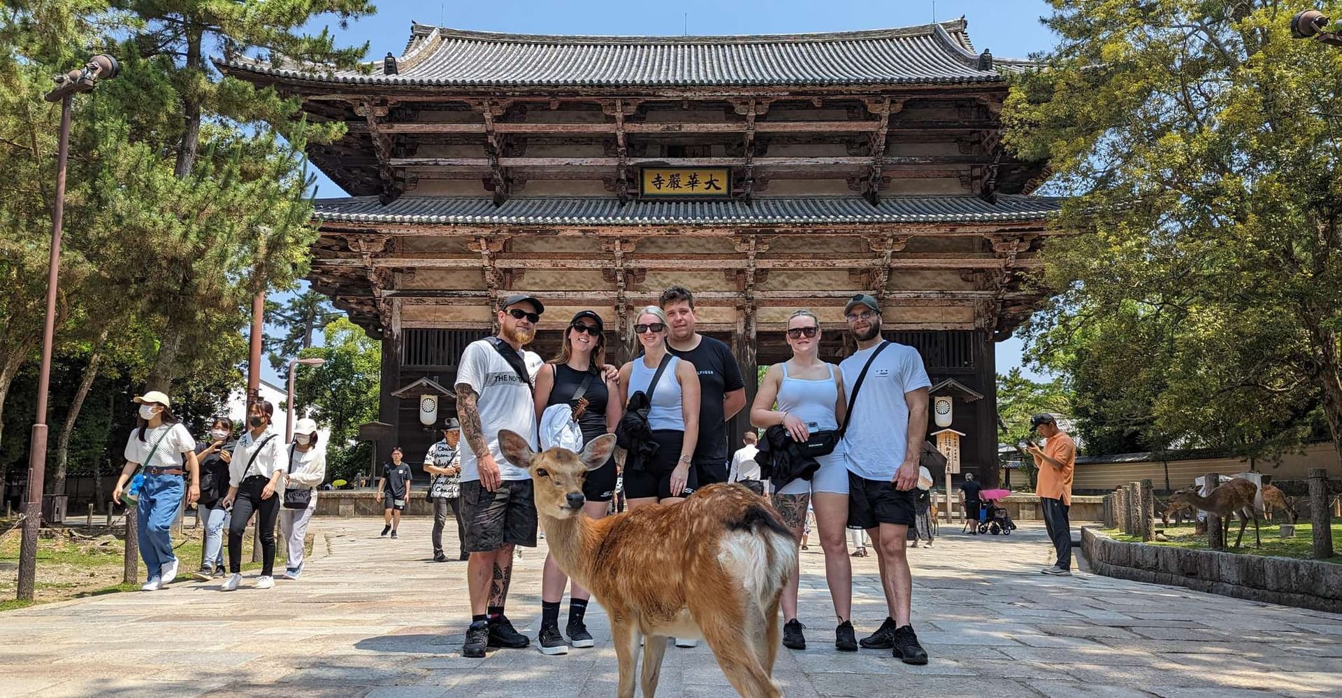 E-Bike Nara Highlights - Todaiji, Knives, Deer, Shrine photo 2