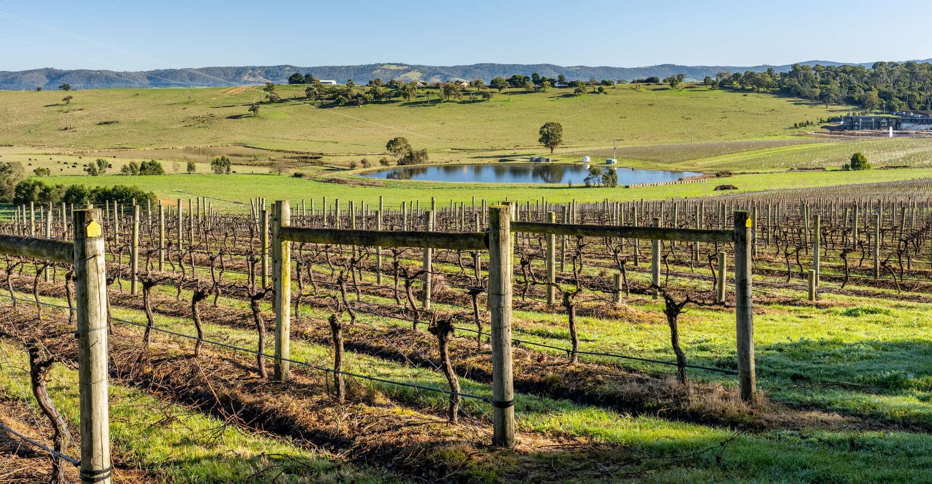 Melbourne: Yarra Valley Wine, Cider, Gin, Beer, & Choc Tour photo 4