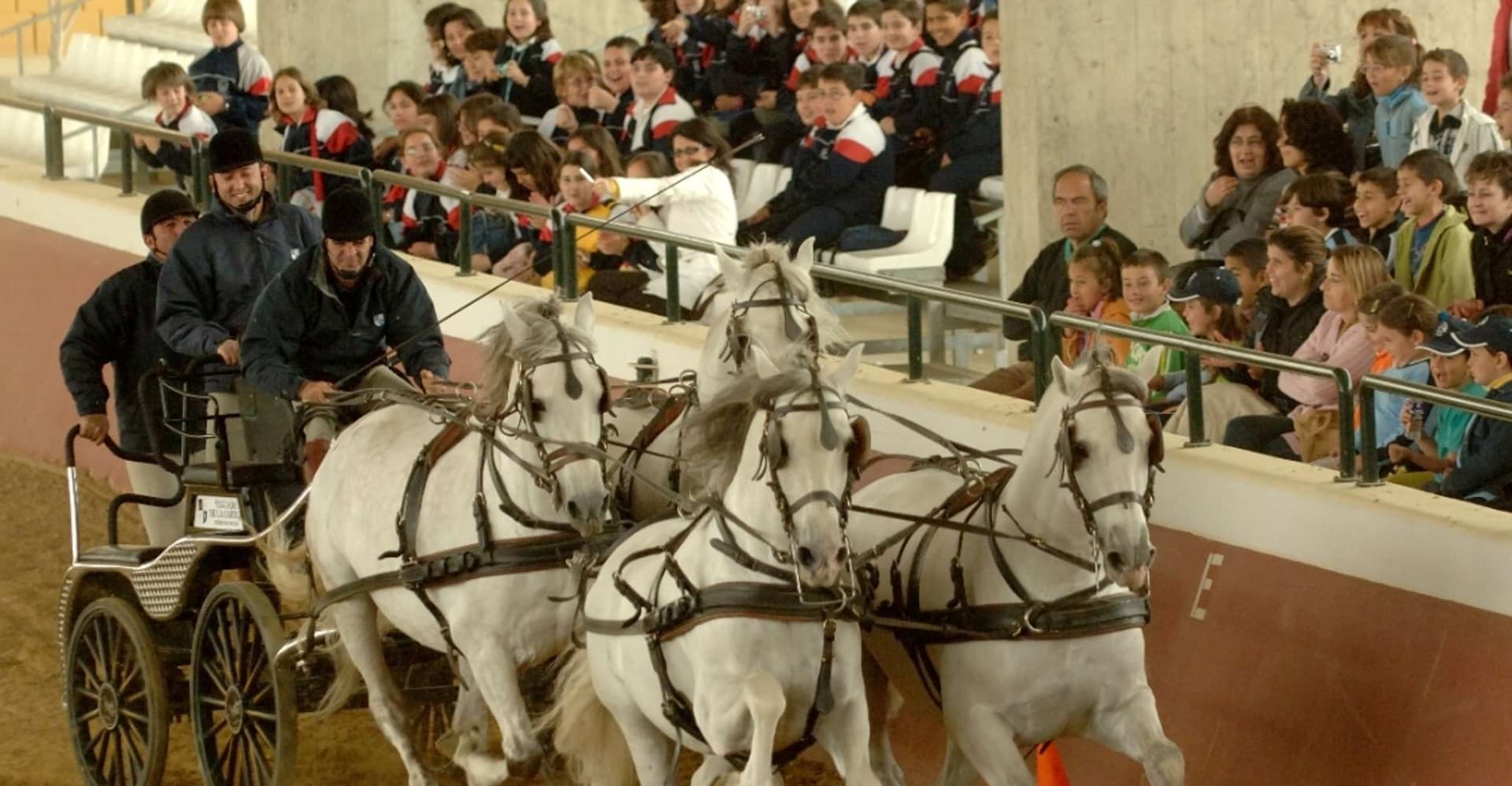 Jerez: Yeguada de la Cartuja Carthusian Horses Tour photo 11