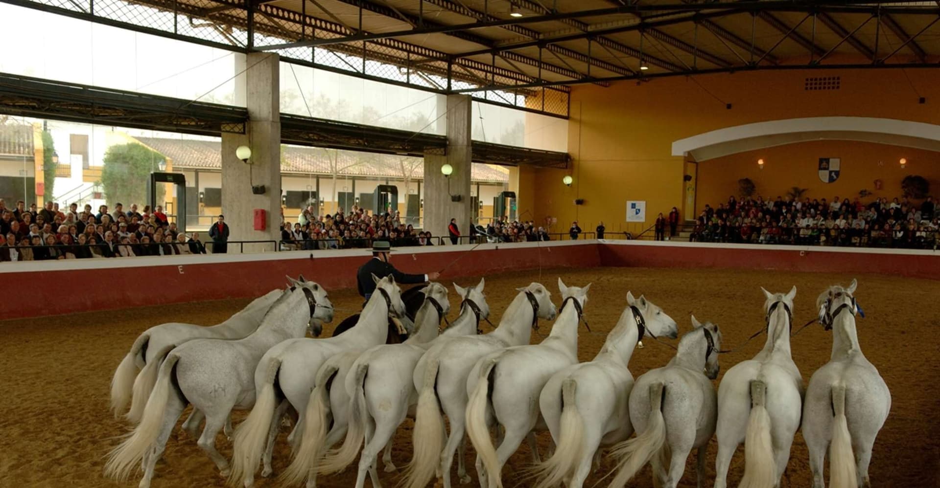 Jerez: Yeguada de la Cartuja Carthusian Horses Tour photo 12