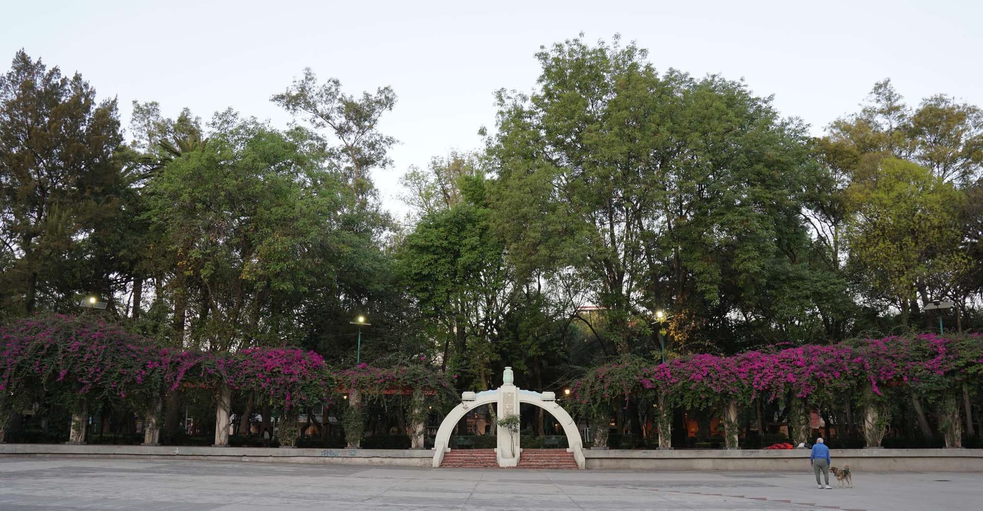 Mexico City: 19 City Highlights Bicycle Tour photo 3