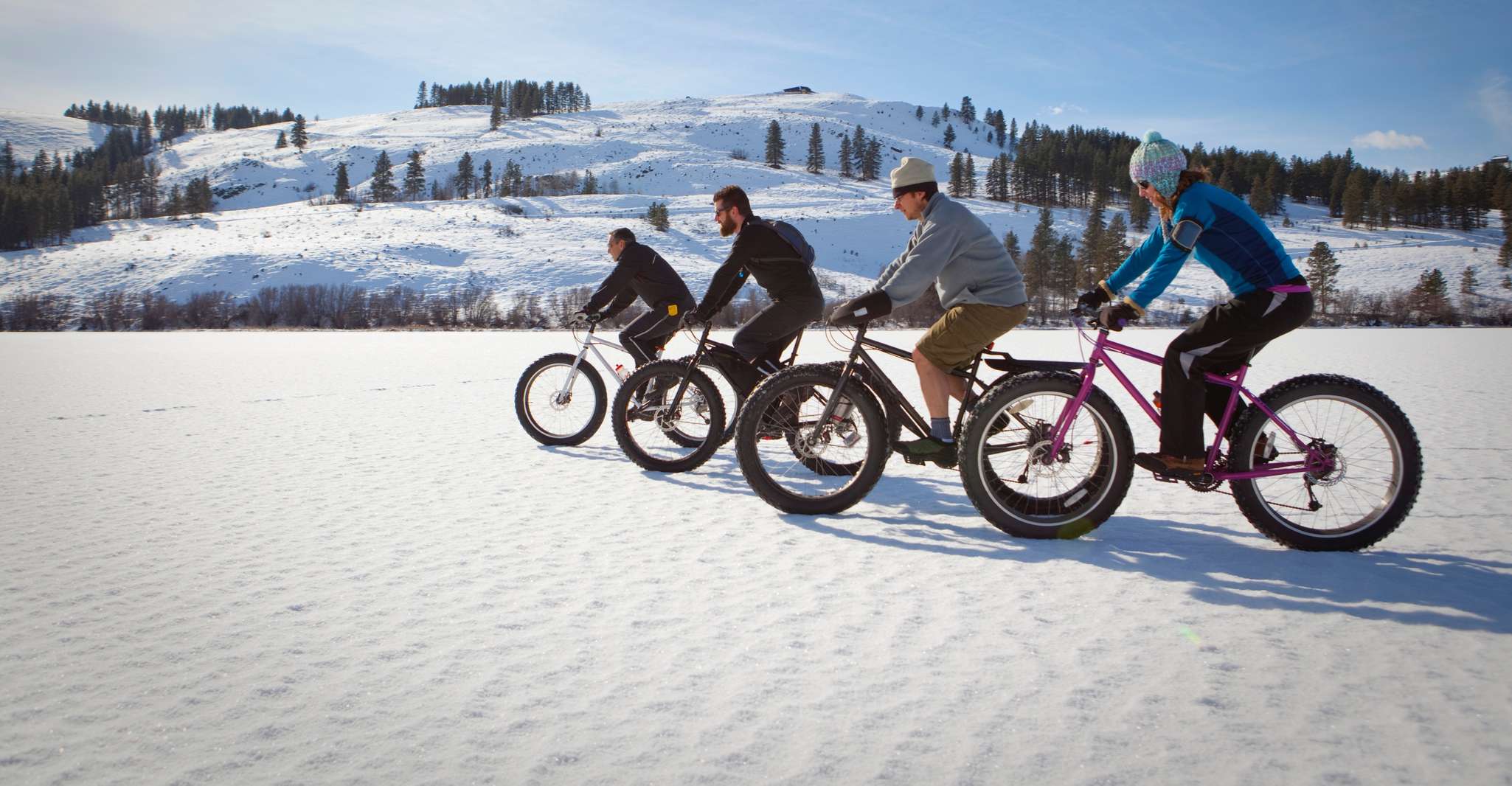 Montréal: Electric Fat Tire Bike Ride on Mount Royal