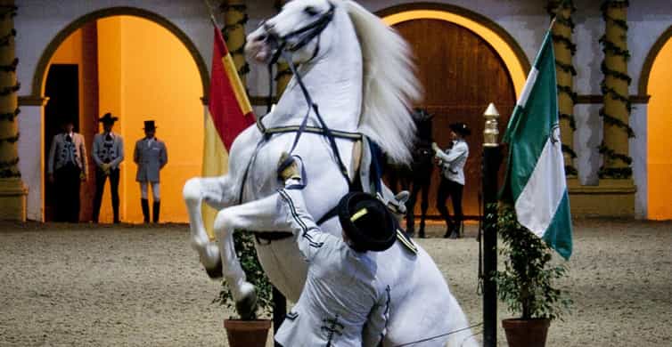 Seville: Jerez, Cadiz Wine Tasting with Optional Horse Show