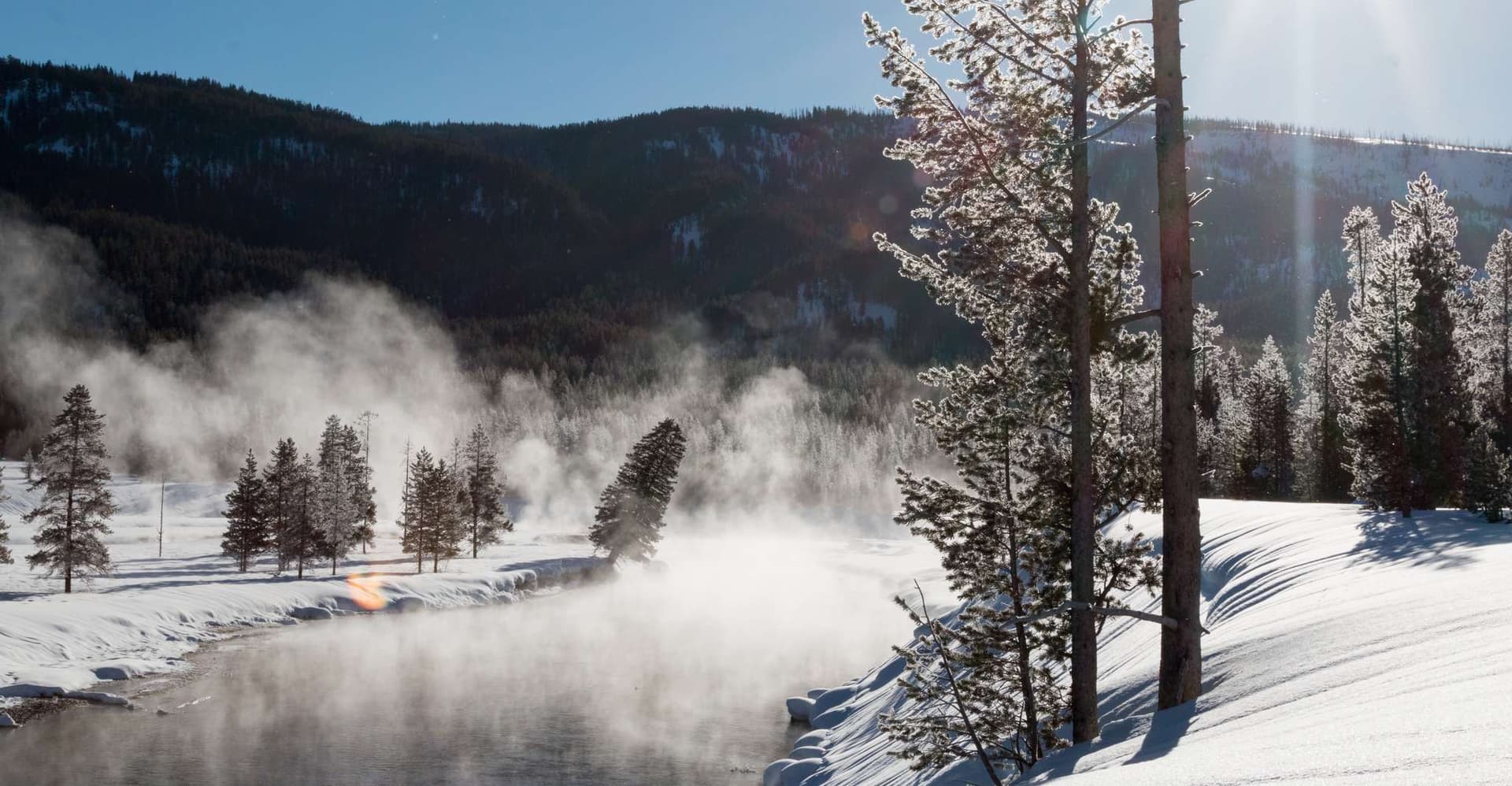 Jackson: Yellowstone Snowcoach Tour to Old Faithful photo 5