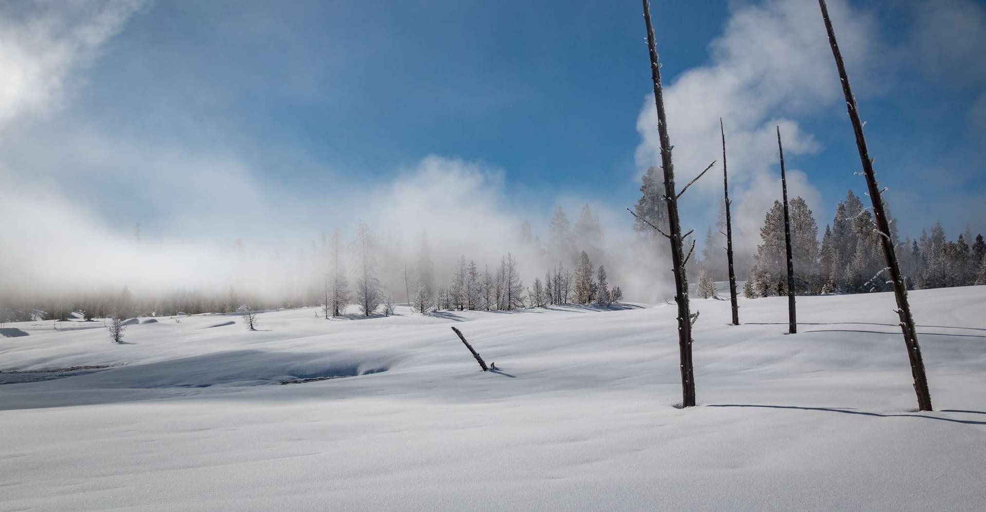Jackson: Yellowstone Snowcoach Tour to Old Faithful photo 6