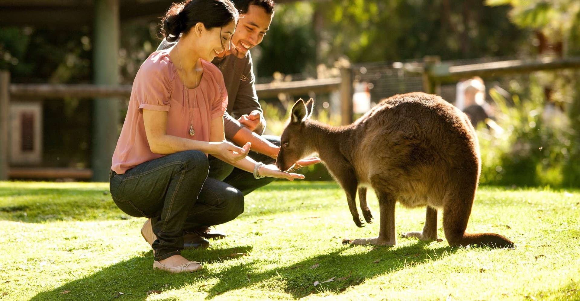From Melbourne: Yarra Valley Wildlife & Wine Day Tour photo 3