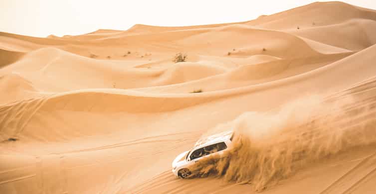 Doha: Half-Day Desert Safari, Quad Bike, Camels & Inland Sea