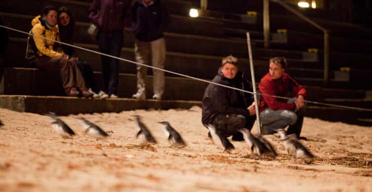 Melbourne: Phillip Island Tour & Penguin Parade