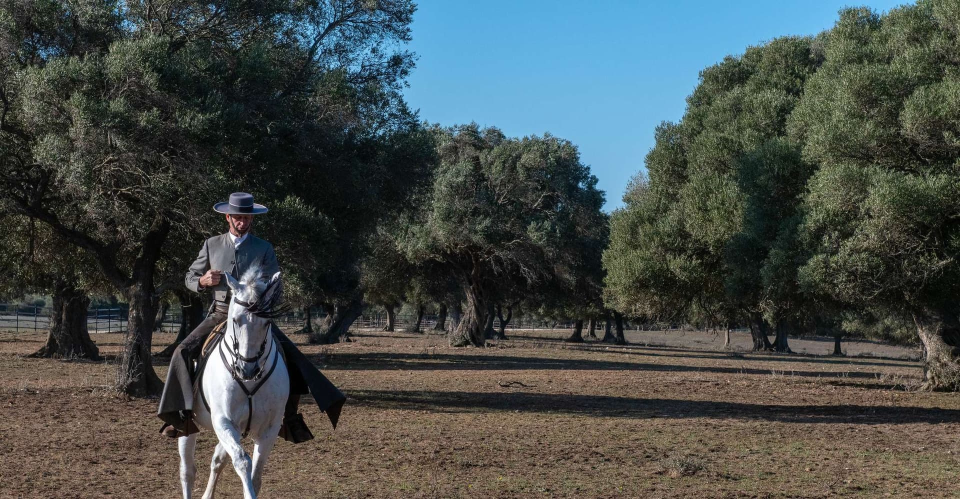 Cadiz: Andalusian Horses and Bulls Country Show photo 3