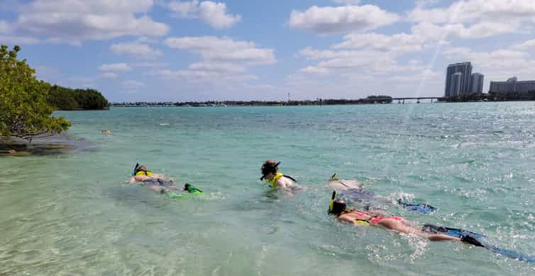 Miami: Beginner-Friendly Island Snorkeling by SUP or Kayak