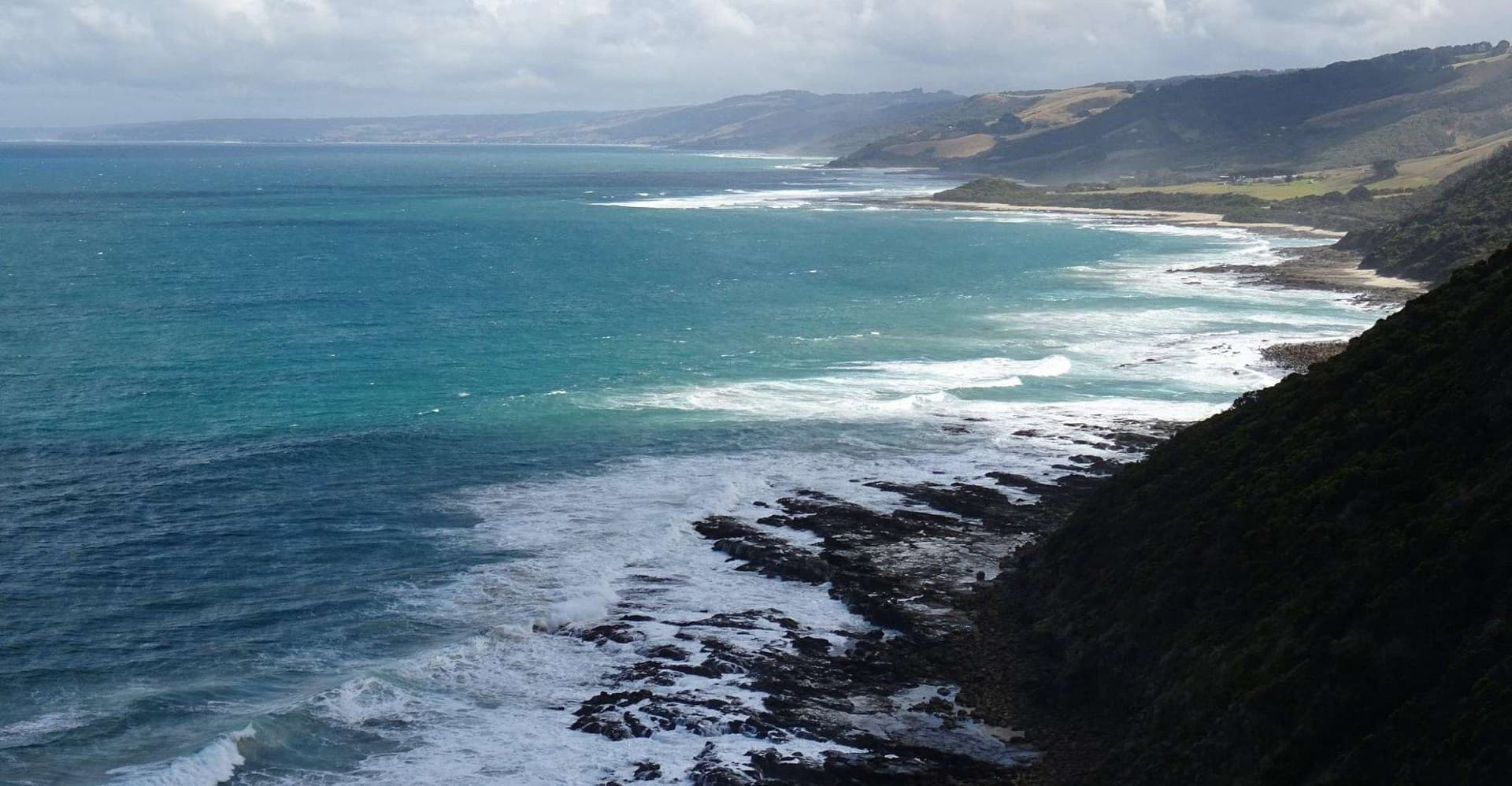 From Melbourne: Great Ocean Road, 12 Apostles, Wildlife Tour photo 8
