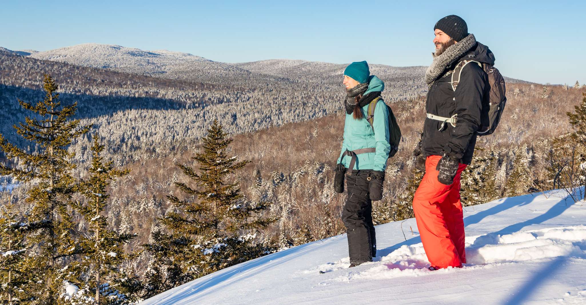From Montreal: Mont-Tremblant National Park Hiking Day Trip