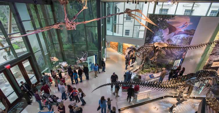San Antonio: Witte Museum Admission Ticket