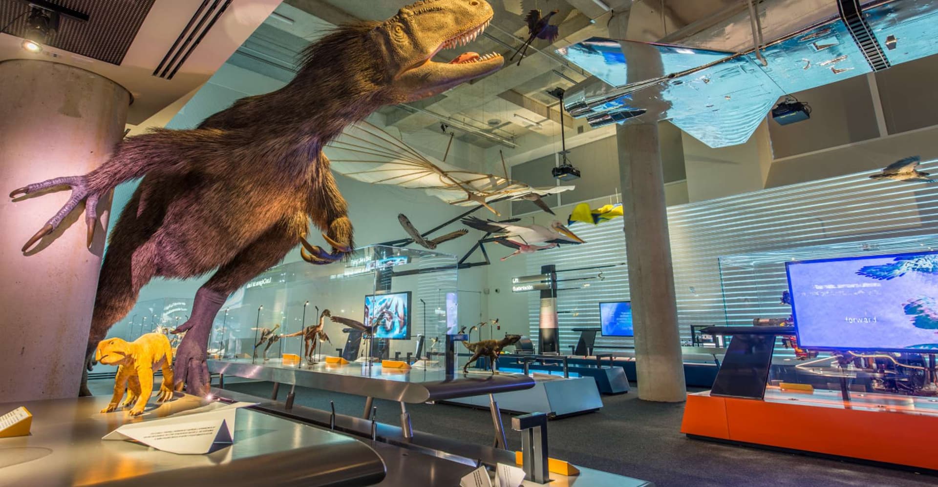 Miami: Frost Museum of Science and Planetarium Entry Ticket photo 3