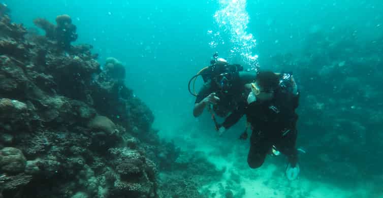 Jeddah: Red sea shore diving (Discovery)