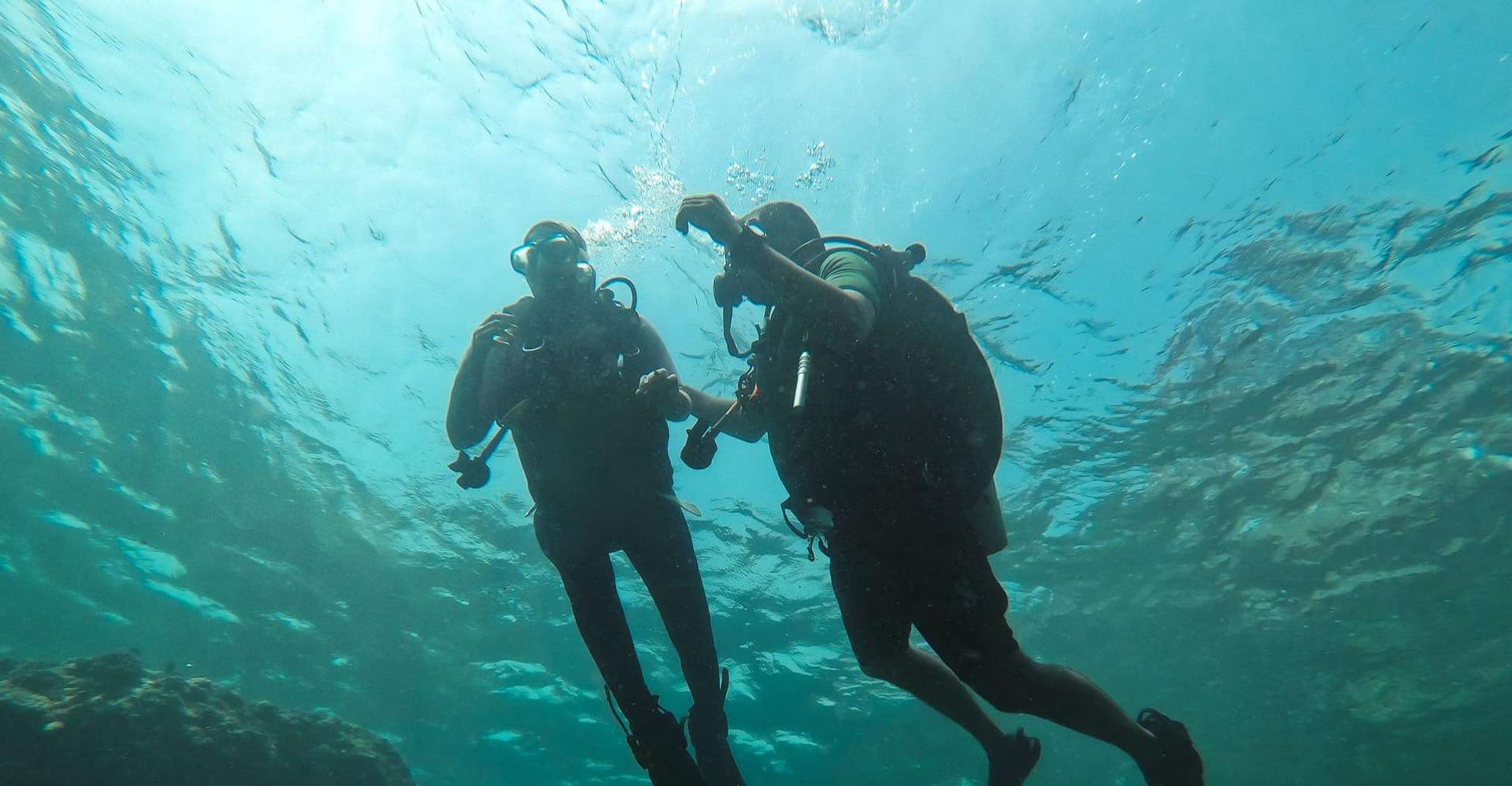 Jeddah: Red sea shore diving (Discovery) photo 3
