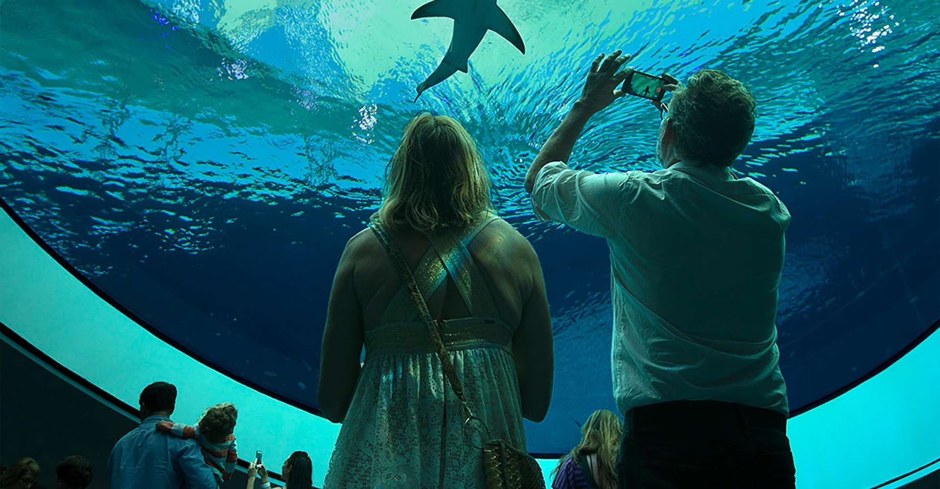 Miami: Frost Museum of Science and Planetarium Entry Ticket photo 1