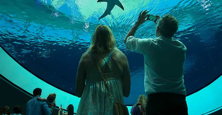 Miami: Frost Museum of Science and Planetarium Entry Ticket