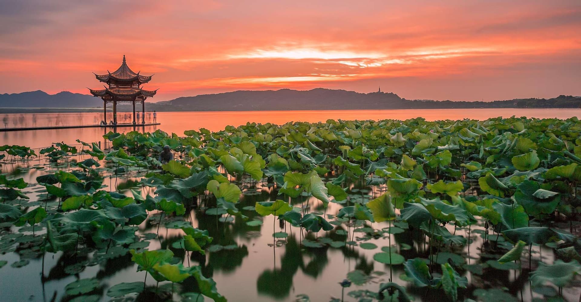 Shanghai: Private Guided Tour to Hangzhou by Bullet Train photo 1