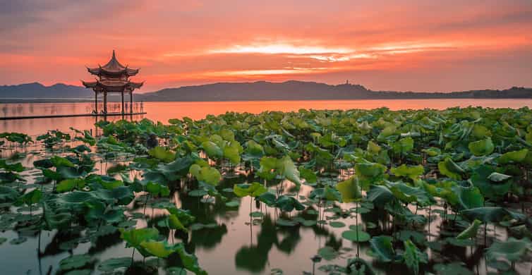 Shanghai: Private Guided Tour to Hangzhou by Bullet Train