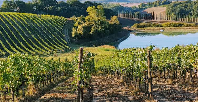 From Florence: Chianti Wine Tastings at Sunset Day Trip