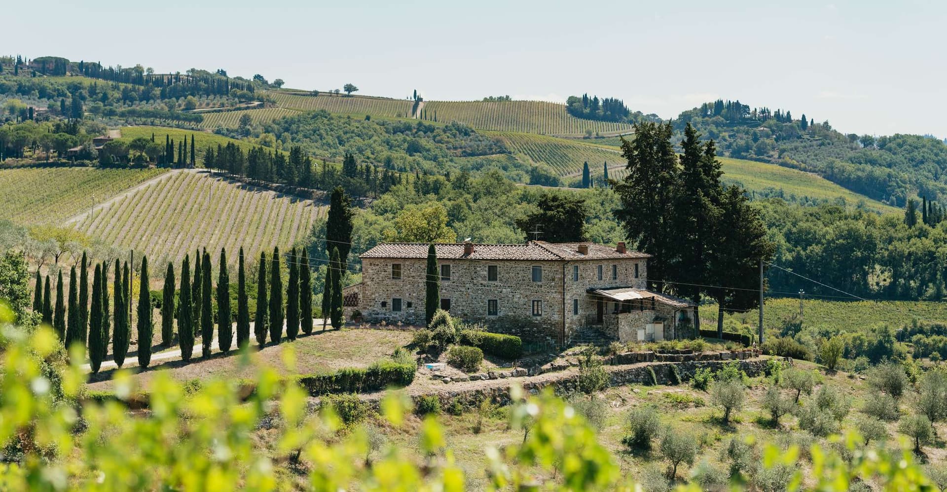 Florence: Chianti Wineries Tour with Wine Tasting photo 3
