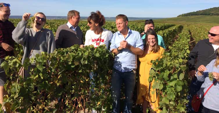 From Reims/Epernay: Champagne half-day tour (small group)