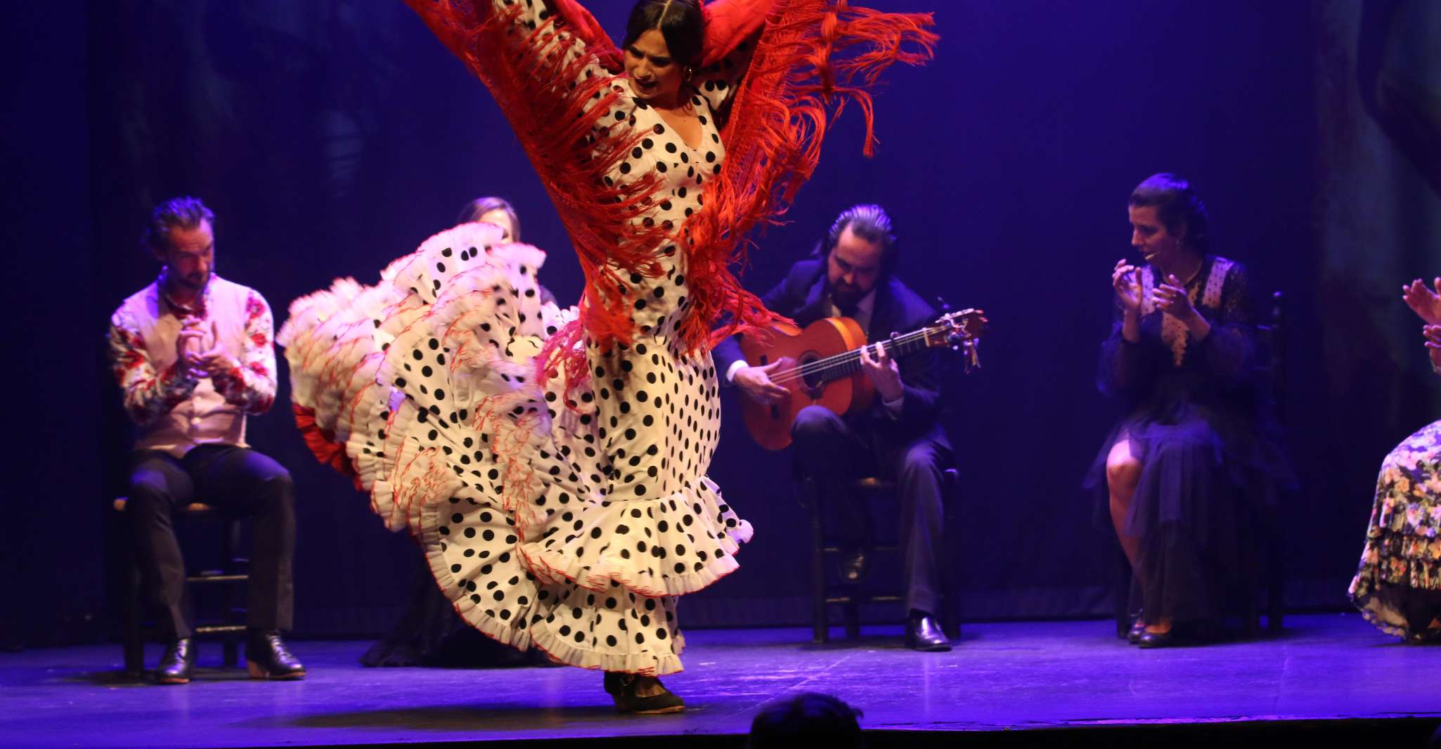 Madrid: "Emociones" Live Flamenco Performance photo 3