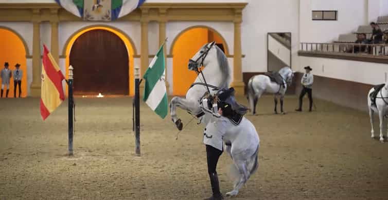 From Seville: Jerez, Cádiz and Andalusian Horses