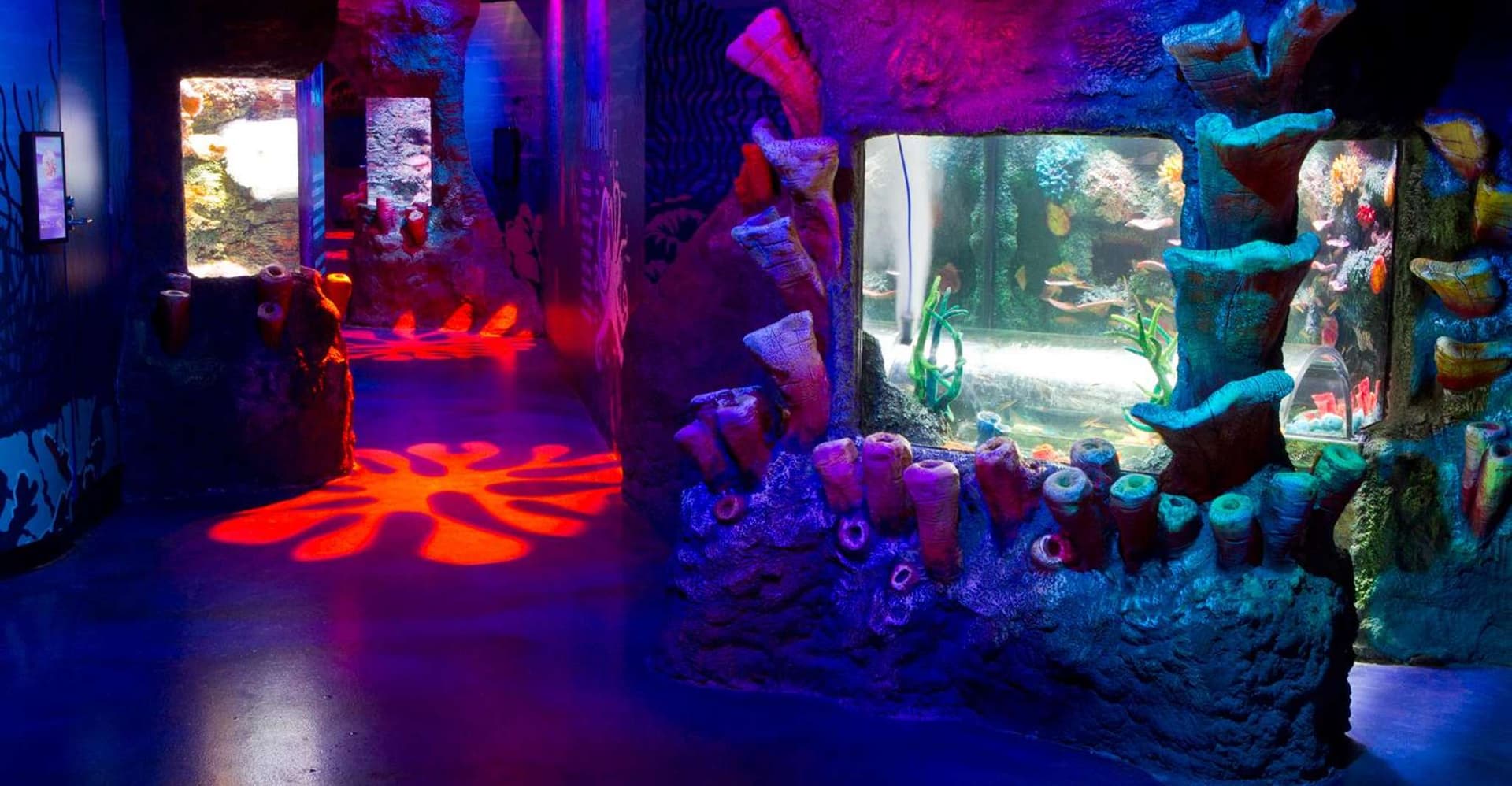 Melbourne: SEA LIFE Aquarium Entrance Ticket photo 16