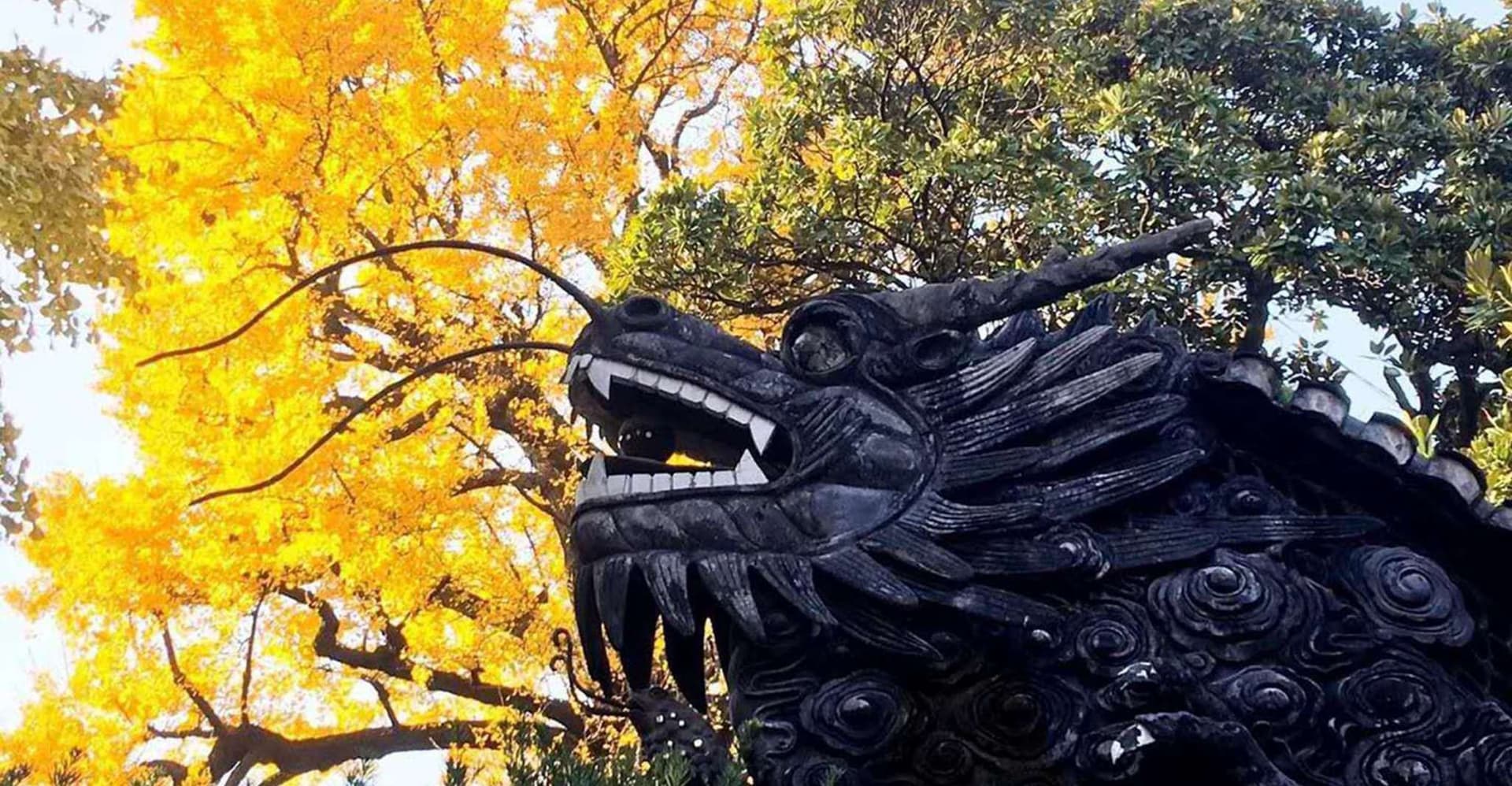 Shanghai: Yu Garden and City God Temple Walking Tour photo 4