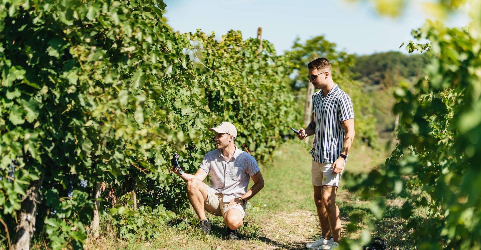 Florence: Chianti Wineries Tour with Wine Tasting photo 5