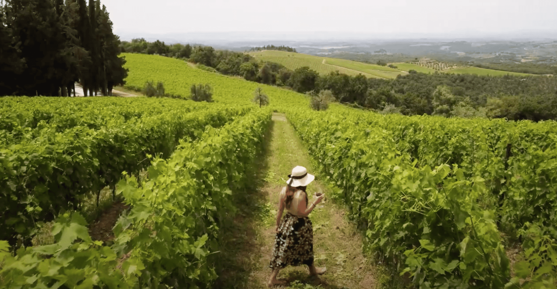 Florence: Chianti Vineyards Tour with Wine Tasting & Dinner photo 15