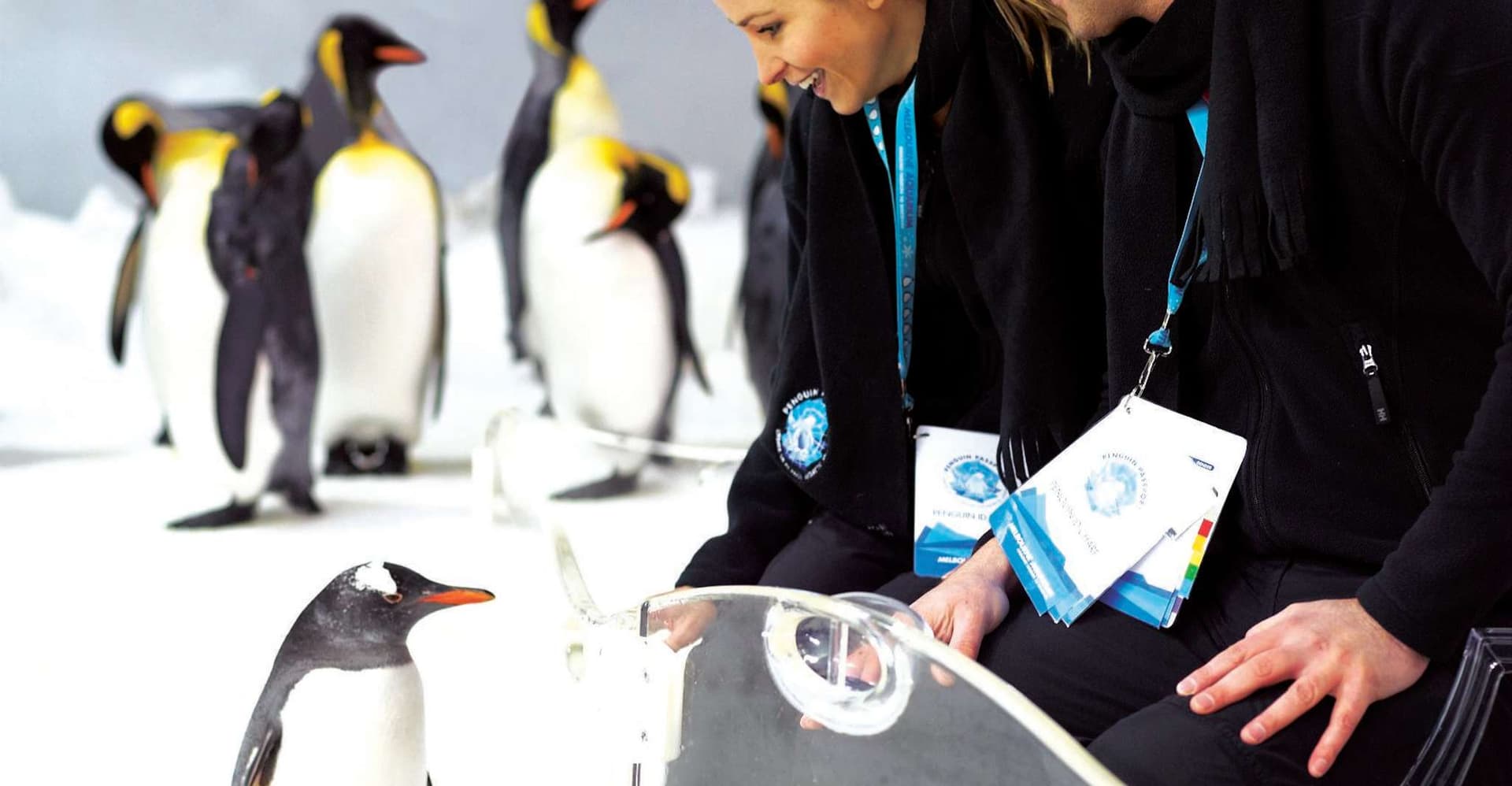 Melbourne: SEA LIFE Aquarium Entrance Ticket photo 2