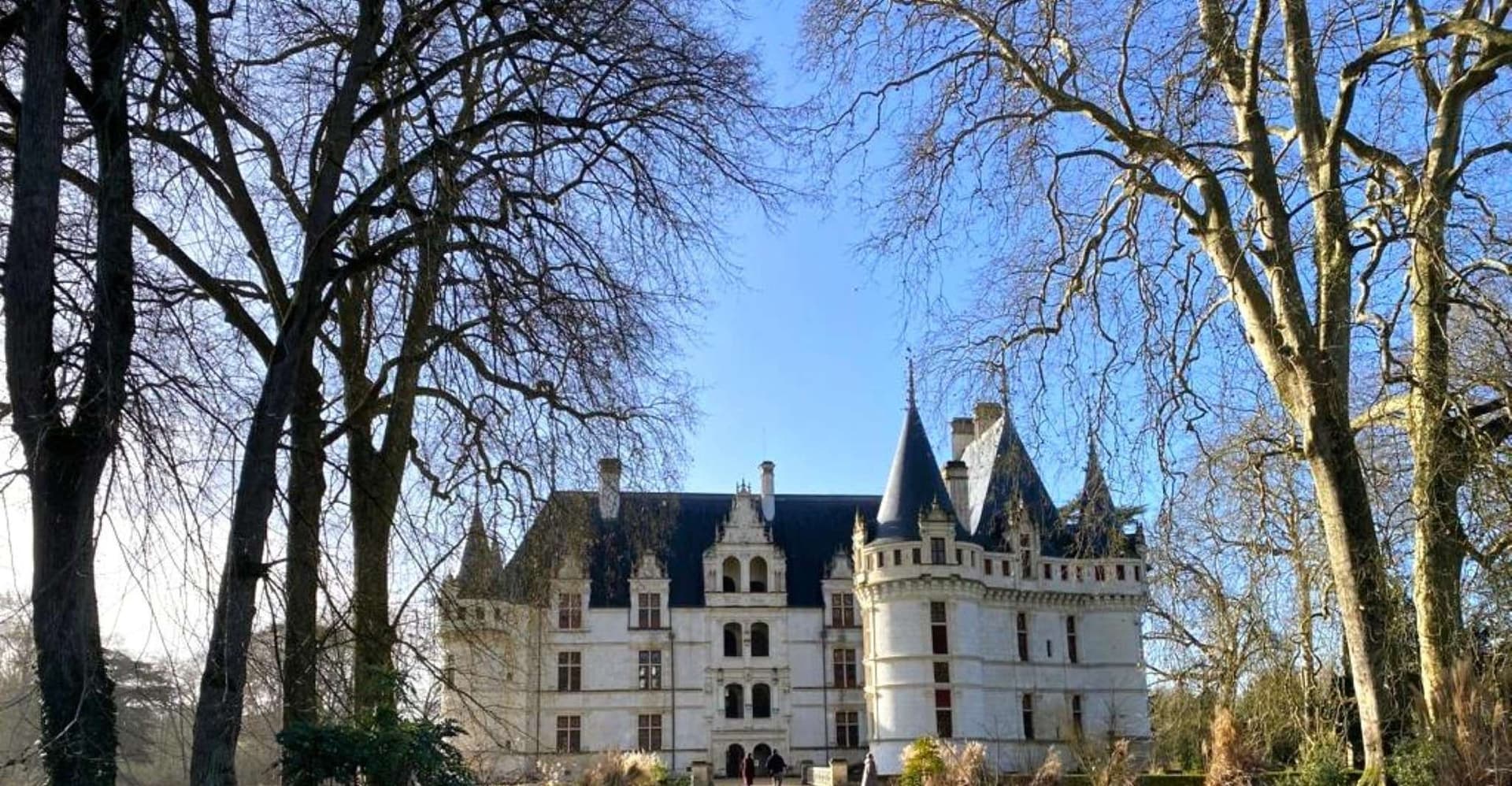 Tours: Chateaux Azay-le-Rideau and Villandry Morning Tour photo 4