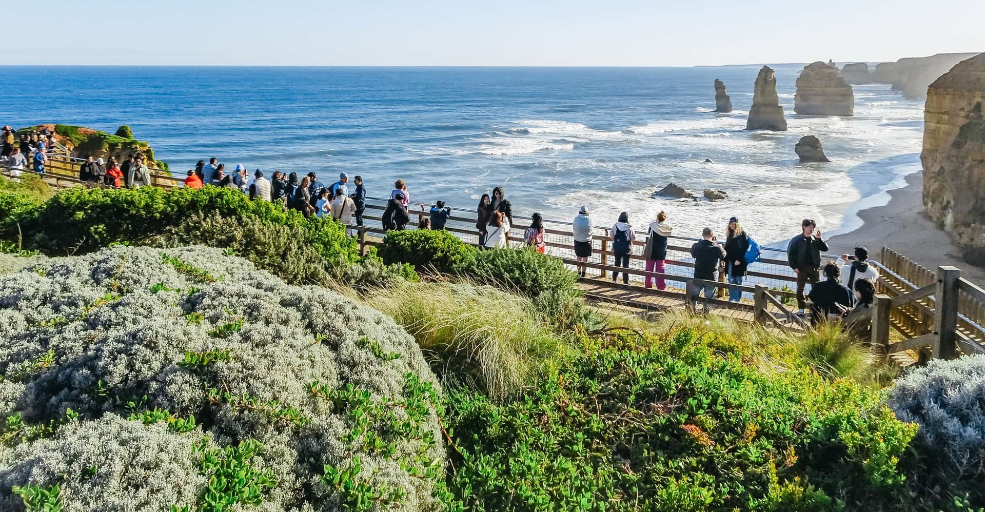 From Melbourne: Great Ocean Road, 12 Apostles, Wildlife Tour photo 2