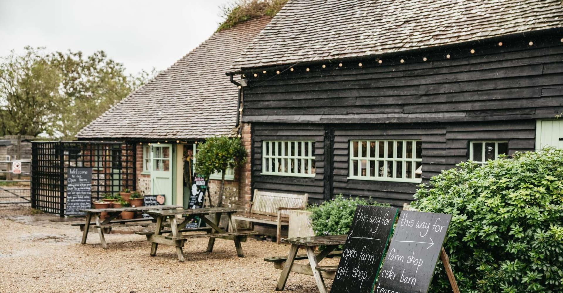 London: South Downs White Cliffs Day Trip with Train Tickets photo 2