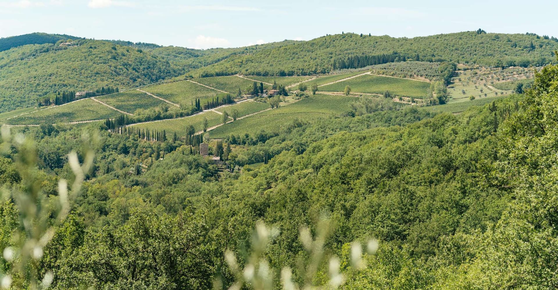 Florence: Chianti Wineries Tour with Wine Tasting photo 8
