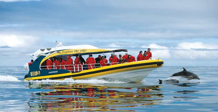 Hobart: Bruny Island Wilderness Coast Eco Cruise with Lunch