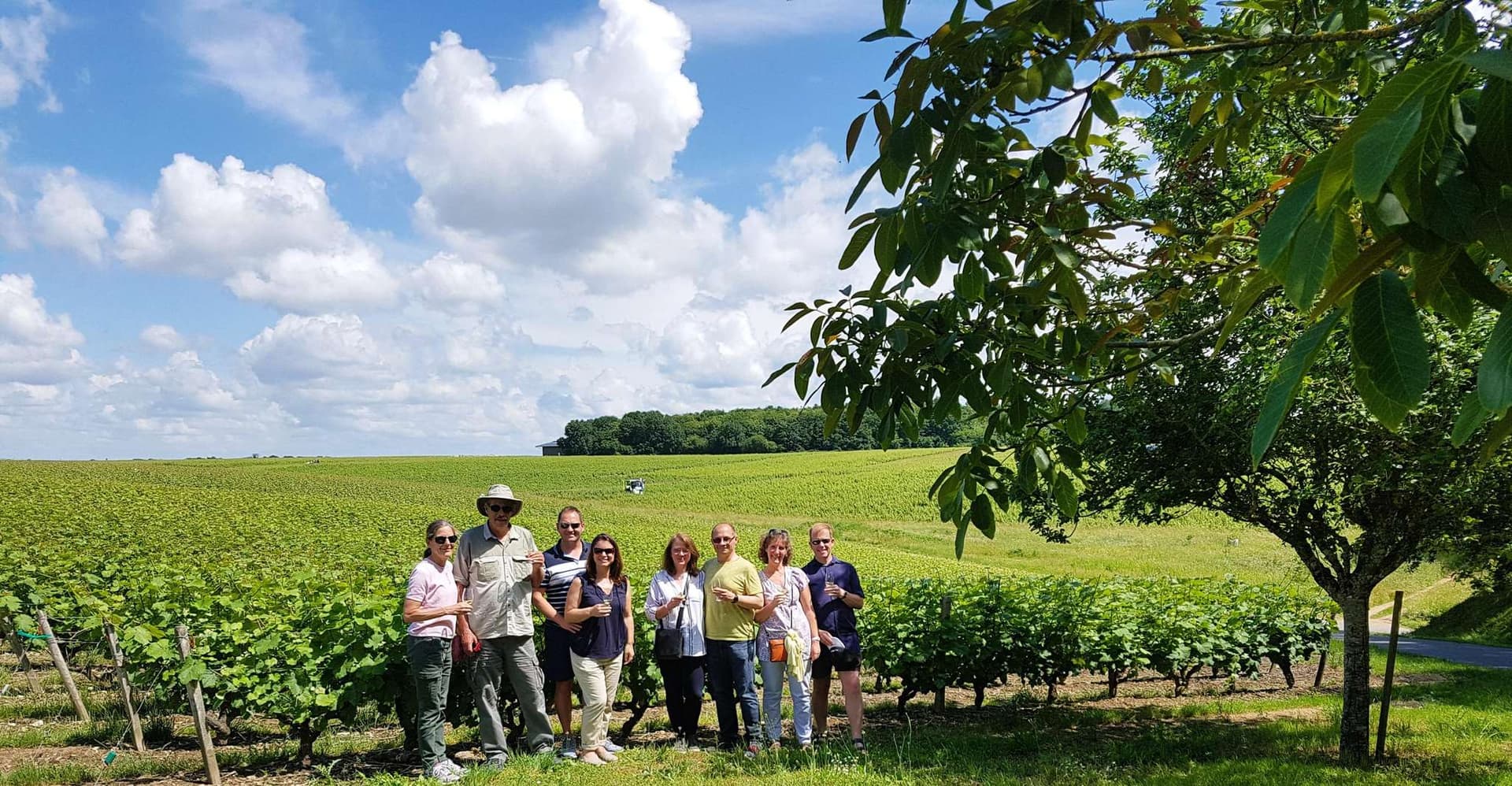 From Tours: Afternoon Loire Valley Wine Tour photo 1