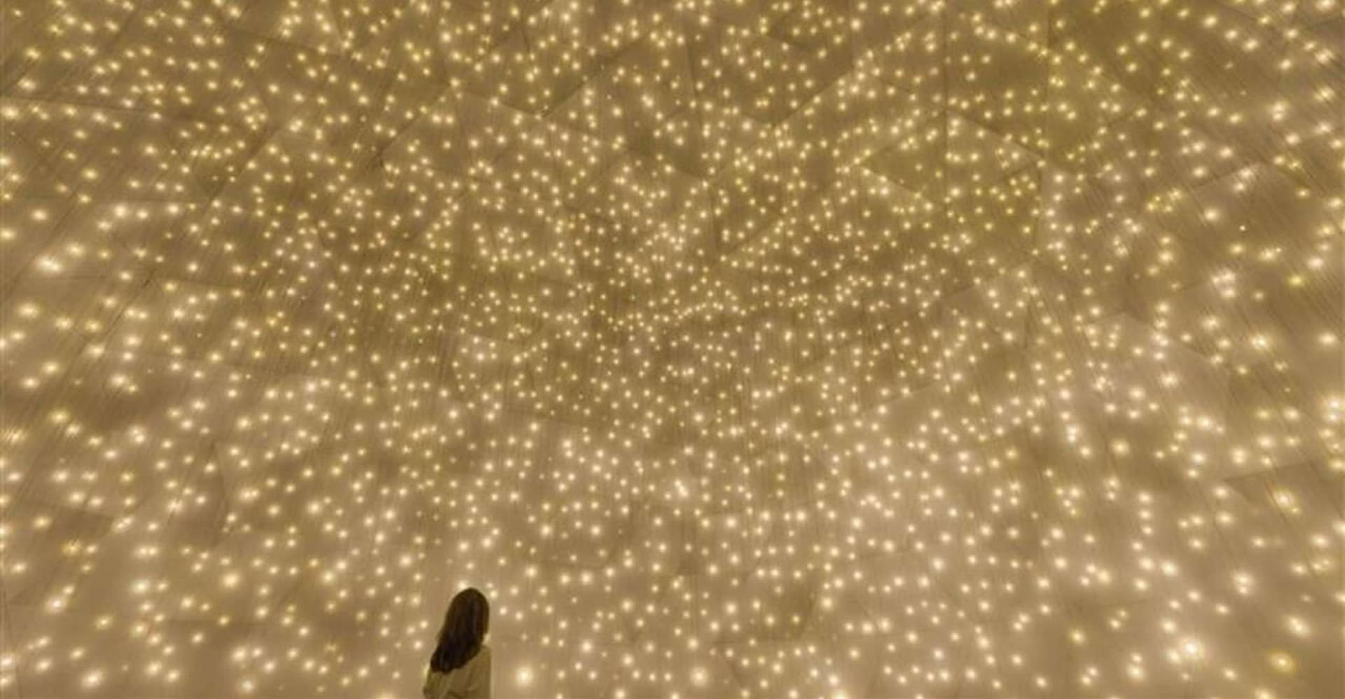 Abu Dhabi: teamLab Phenomena Entry Ticket photo 5