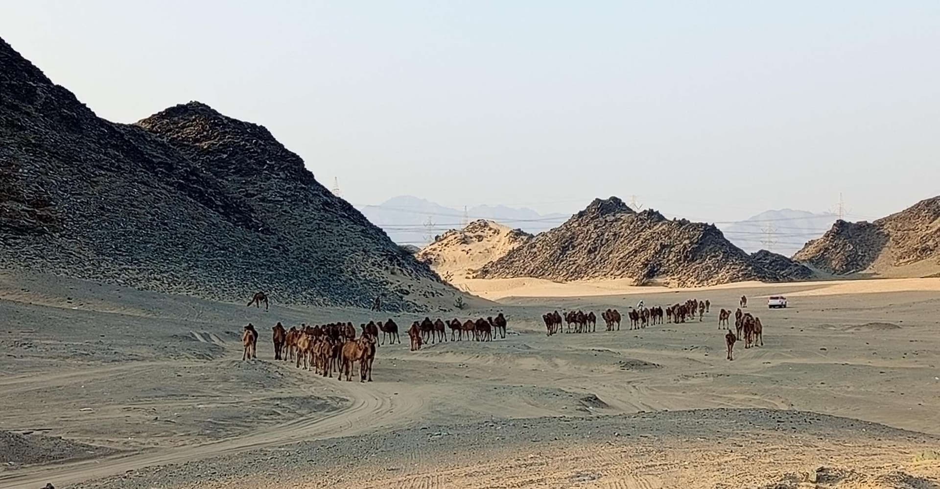 Jeddah Desert Safari: Quad Biking, Camel Farm & Sunset Views photo 10