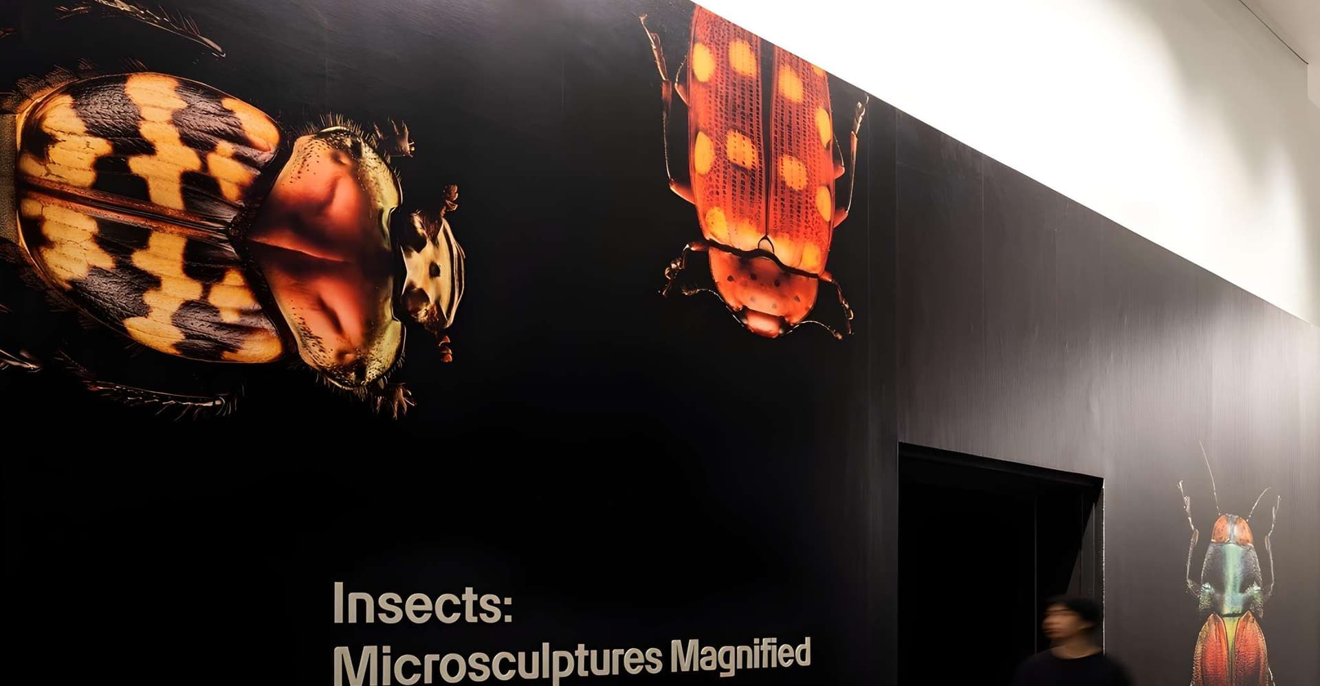 Singapore: ArtScience Museum Entry Ticket photo 2