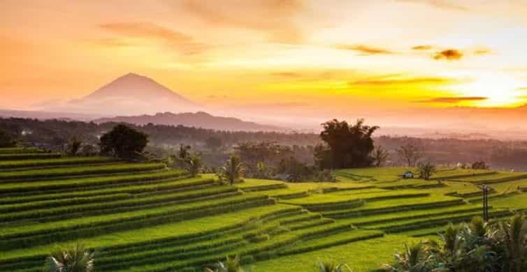 Bali: Jatiluwih UNESCO, Bratan Lake, Iconic Gate & Tanah Lot